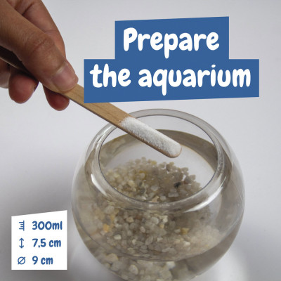 Jurassic Pets Kit I. Jogo didático para crianças